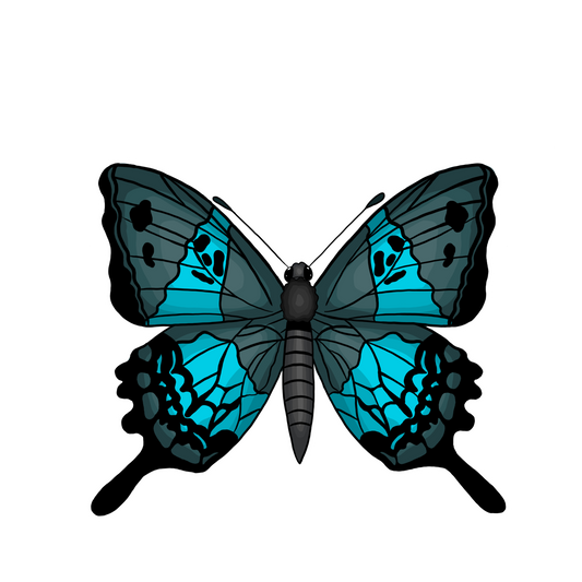 Luna Butterfly - Sticker  🦋 ✨